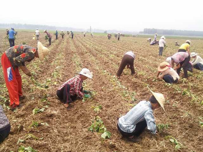 發(fā)貨現場(chǎng)