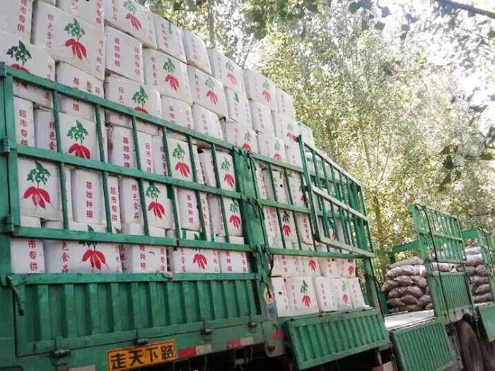 發(fā)貨現場(chǎng)