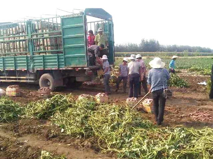 發(fā)貨現場(chǎng)