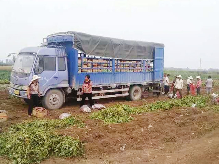 發(fā)貨現場(chǎng)