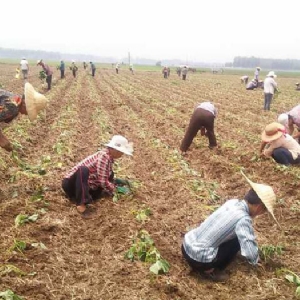 發(fā)貨現場(chǎng)