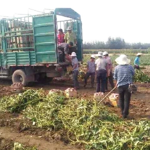 發(fā)貨現場(chǎng)