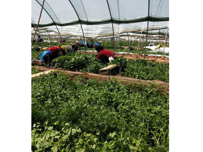 發(fā)貨現場(chǎng)