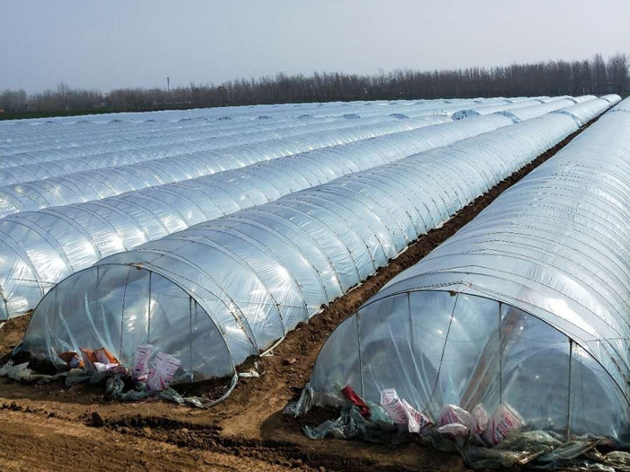 發(fā)貨現場(chǎng)