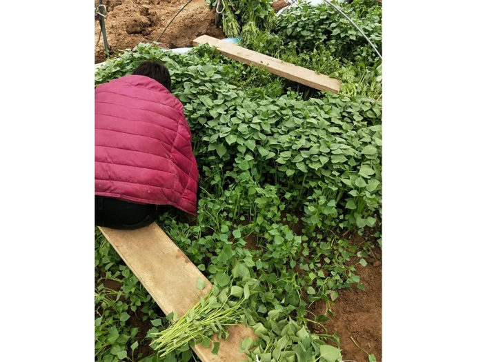 發(fā)貨現場(chǎng)