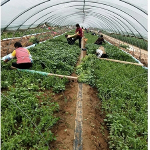 發(fā)貨現場(chǎng)