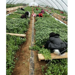 發(fā)貨現場(chǎng)